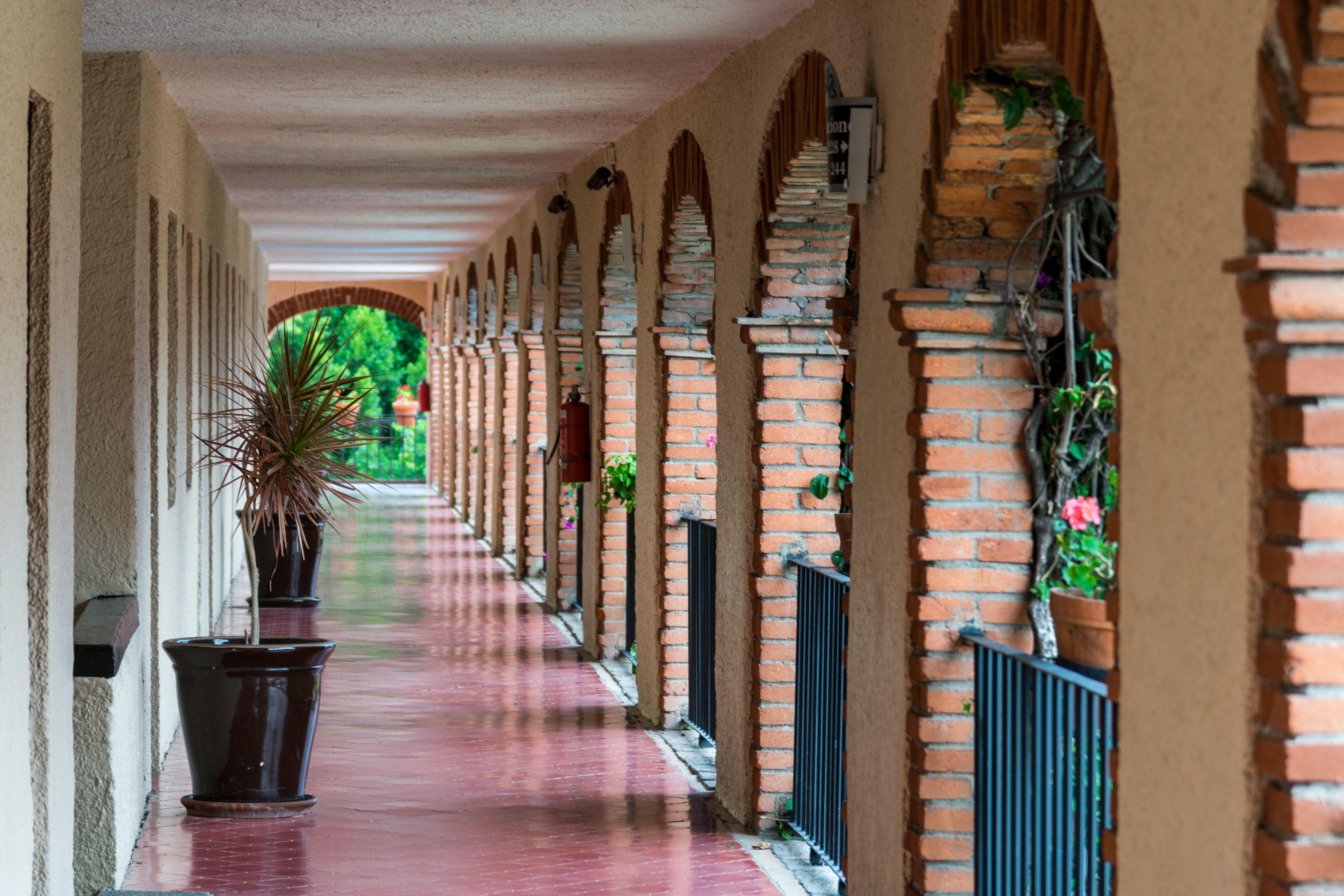 Hotel Abadia Plaza Guanajuato Eksteriør billede