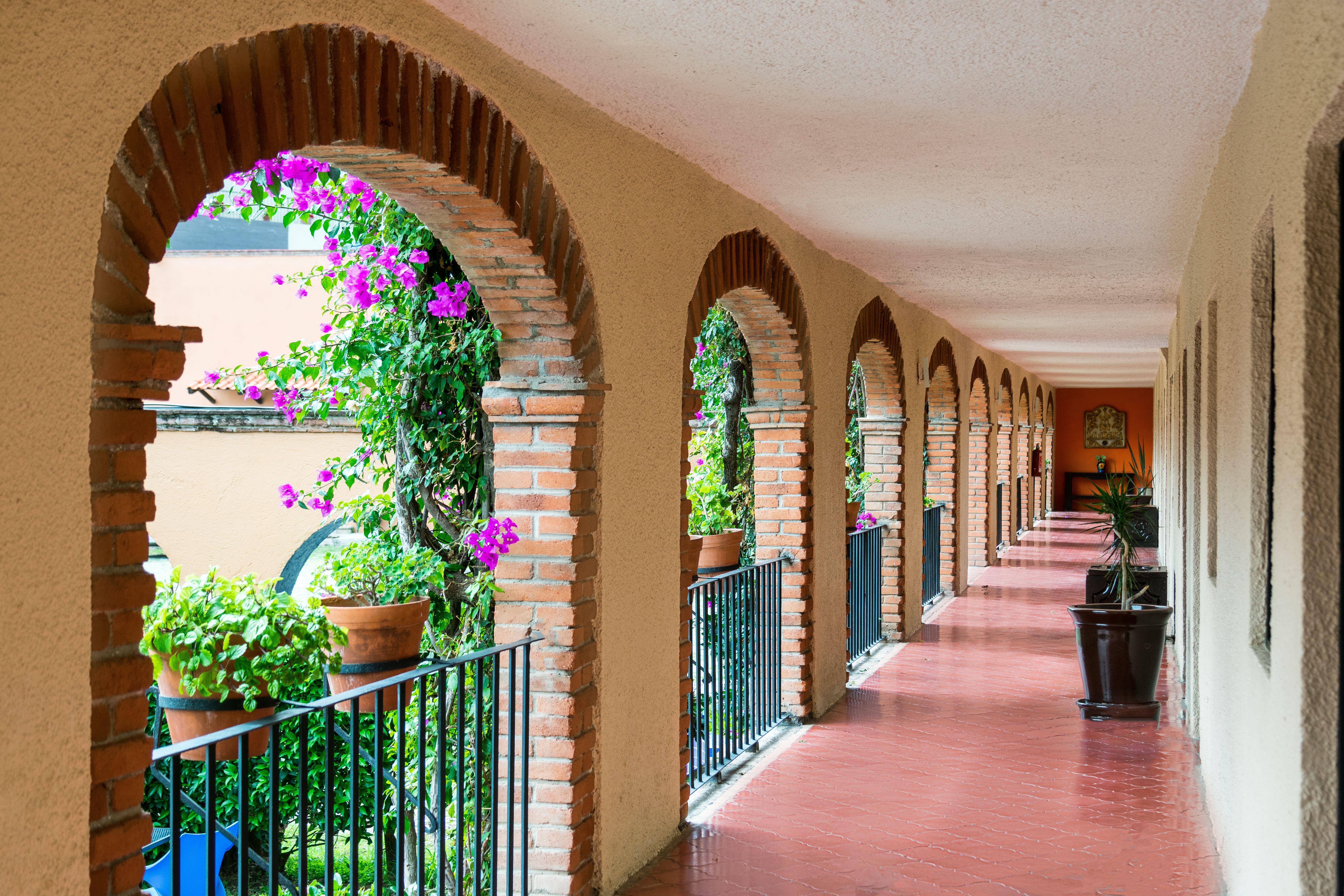 Hotel Abadia Plaza Guanajuato Eksteriør billede