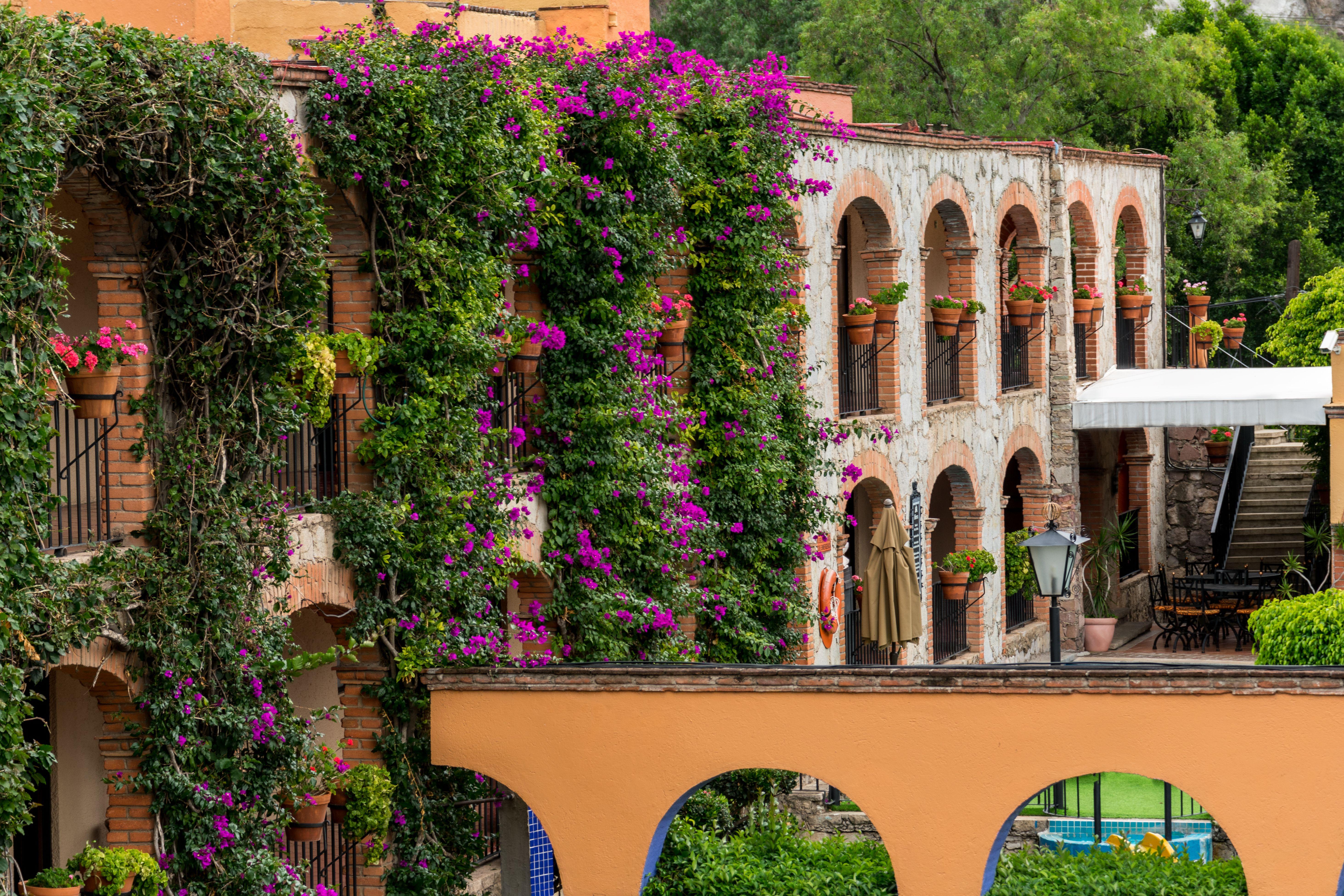 Hotel Abadia Plaza Guanajuato Eksteriør billede